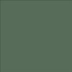 Shamrock